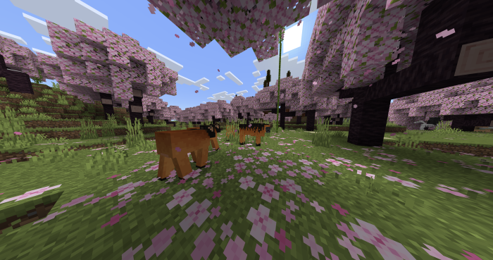 Gameplay scenes and compatibility.