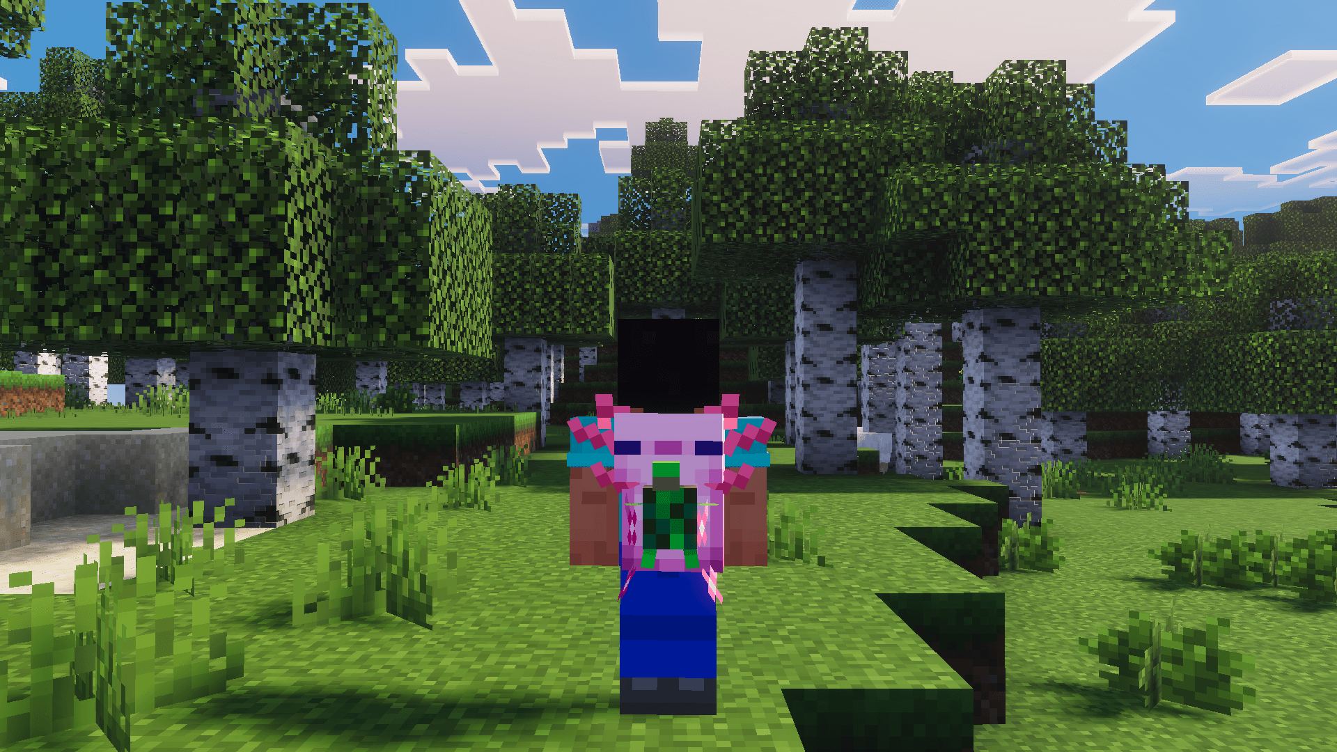 Better Backpacks — screenshot 1