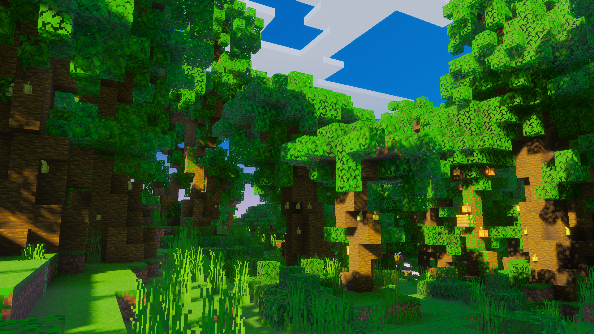Meadow biome