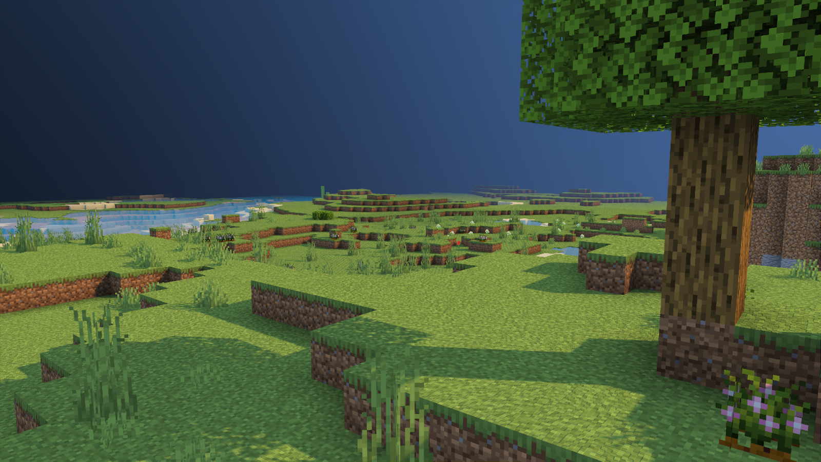 Birch biome