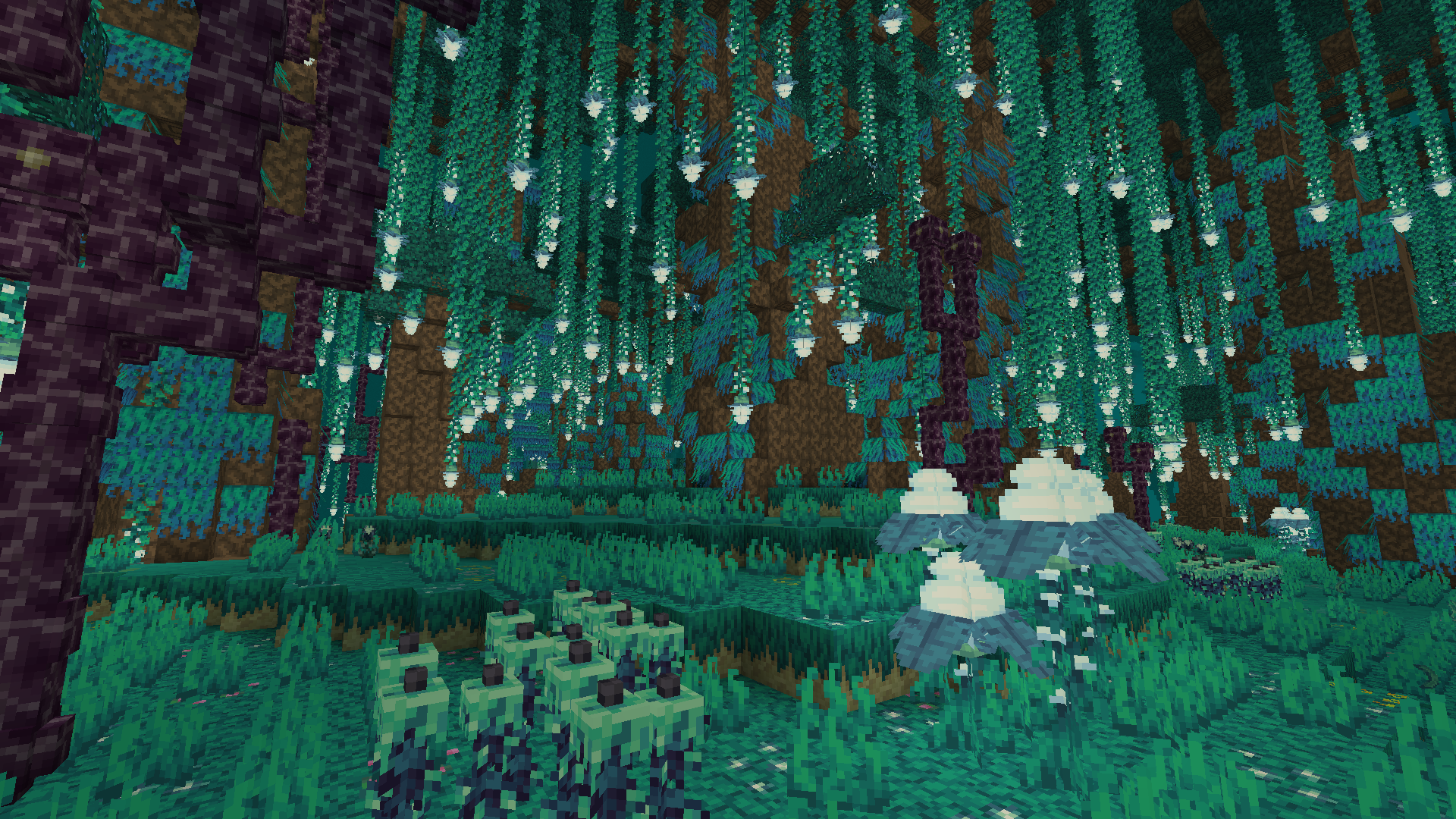 Biome example image