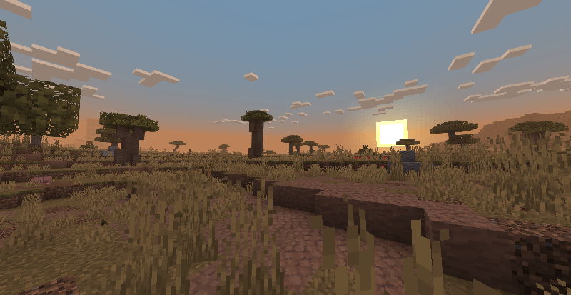 Savanna biome