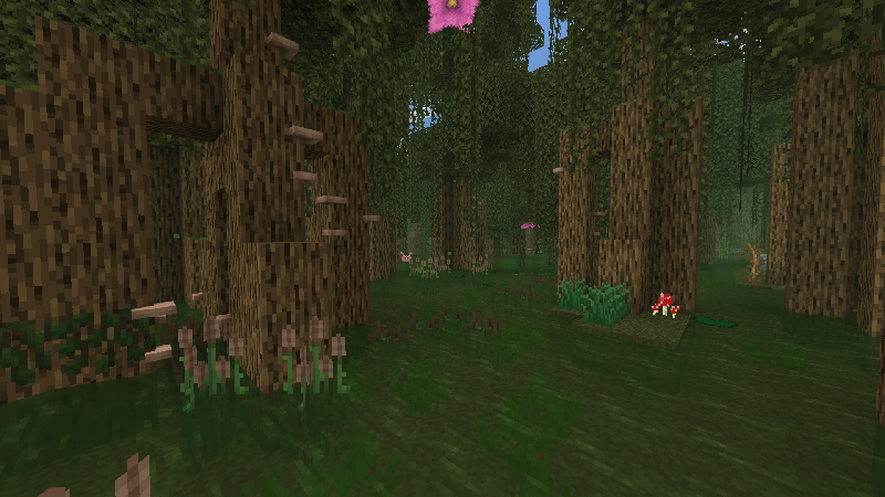 Boggy Swamplands biome