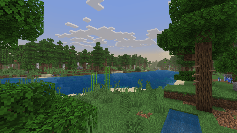 Deciduous Forest biome