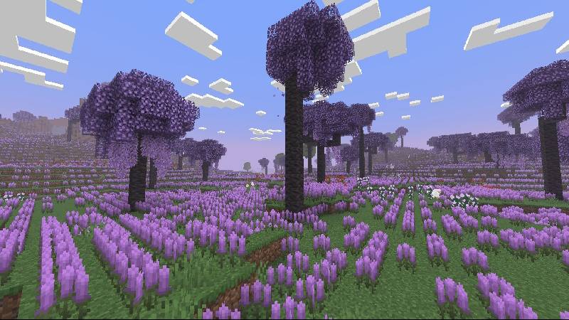 Lavender Fields biome
