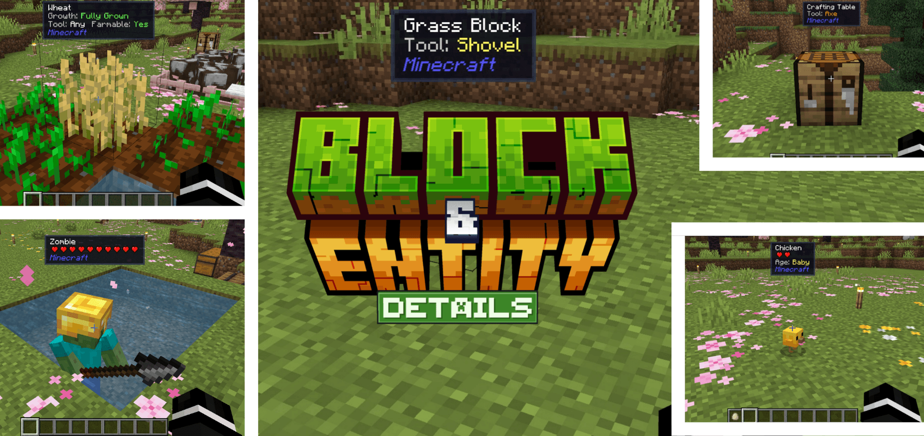 Block & Entity Details — screenshot 1