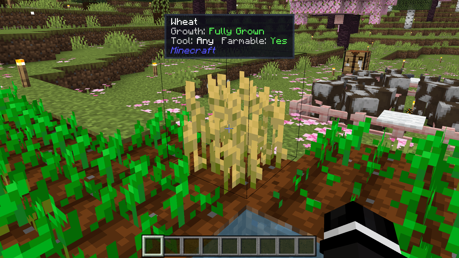 Block & Entity Details — screenshot 1