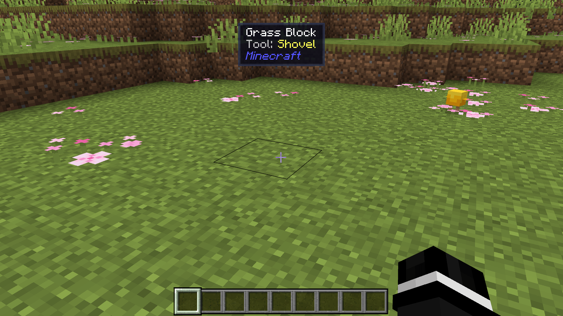 Block & Entity Details — screenshot 1