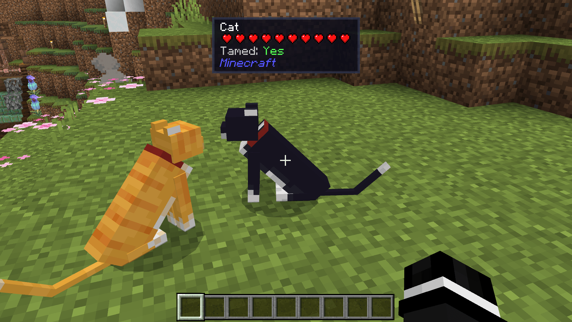 Block & Entity Details — screenshot 1