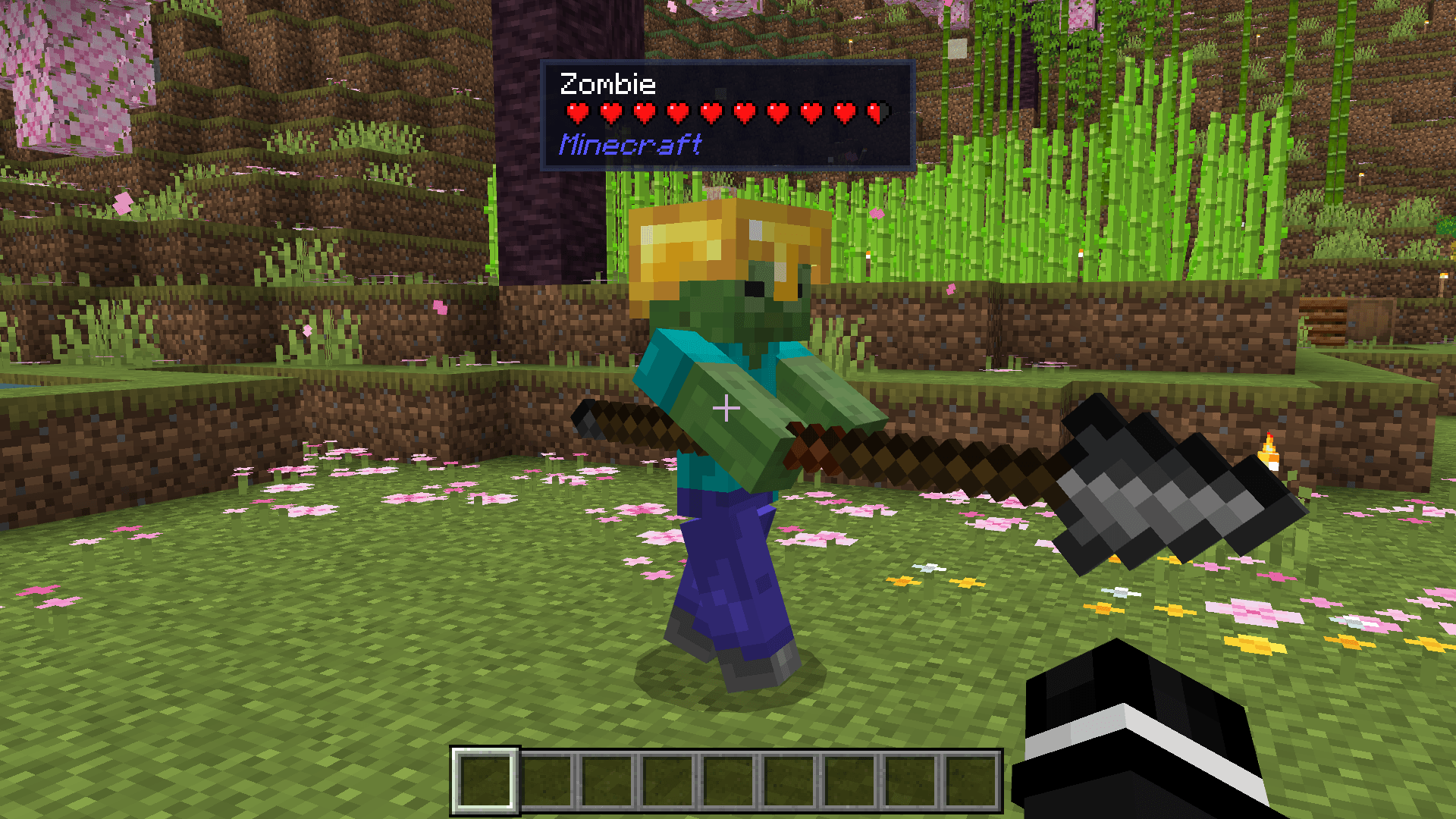 Block & Entity Details — screenshot 1
