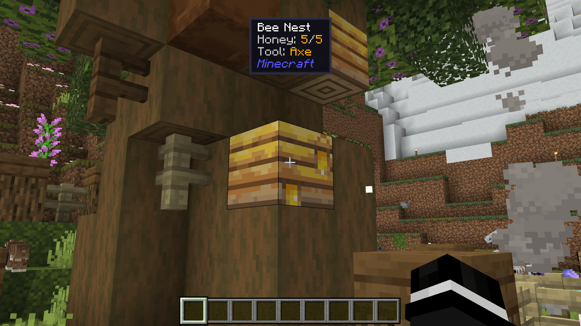 Block & Entity Details — screenshot 1