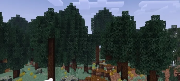 Biome Screenshot 1
