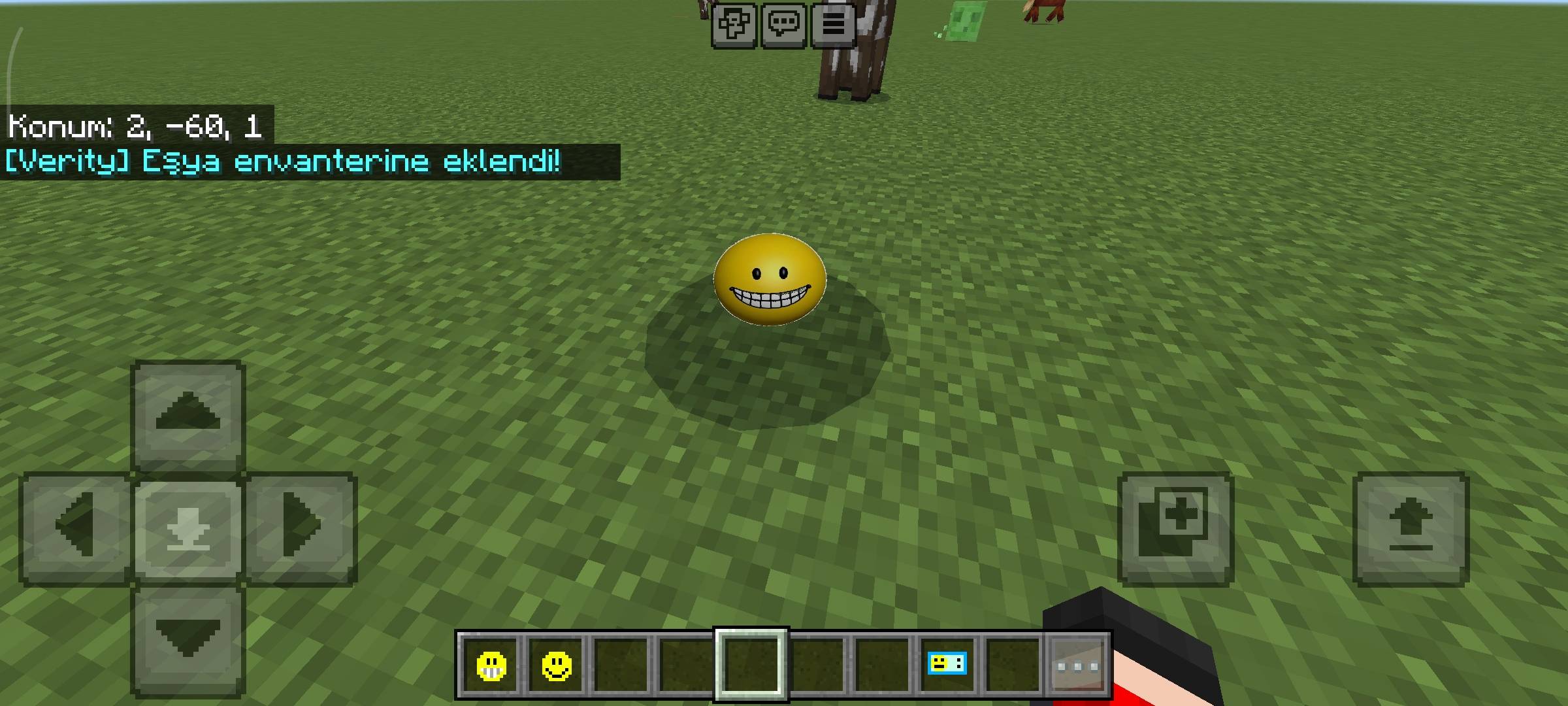 Burki’s Verity — screenshot 5
