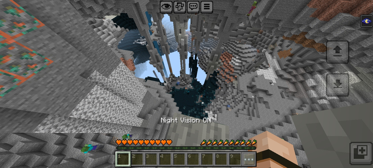 Screenshot displaying gameplay with Clear Vision enabled.
