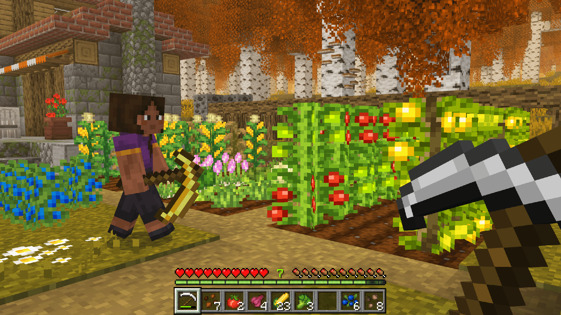 Core Craft – A Vanilla Expansion — screenshot 1