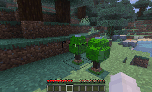 Harvesting Apricorns from Apricorn Trees