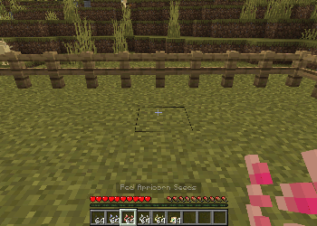 Growing Apricorn Trees with mulch