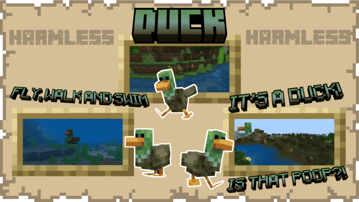 Duck mob in water and land