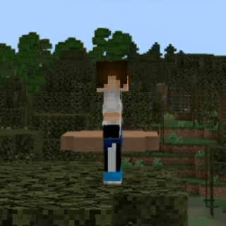 Dodge Roll Animation