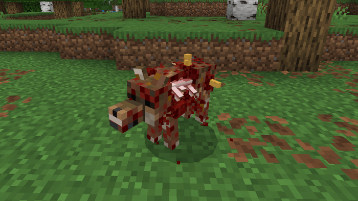 Pack of Infected Wolves.