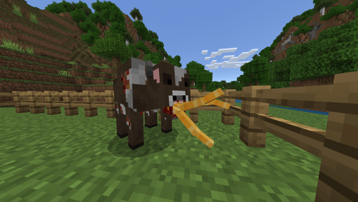 Infected Cow mob with parasites.