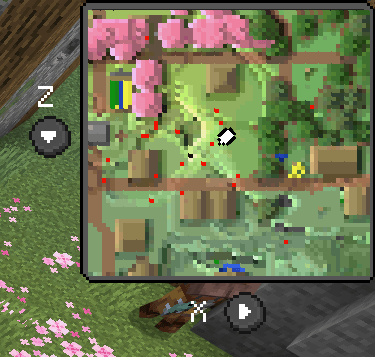 Entity locator display