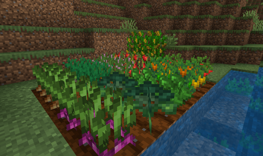New Plants and Crops