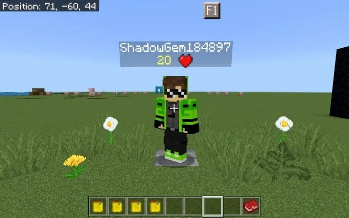 Health Bar of a Player: Screenshot