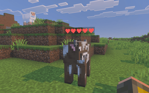 Health Indicator example 5