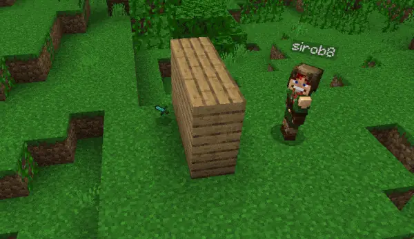 Holograms on dropped items: Multiplayer support