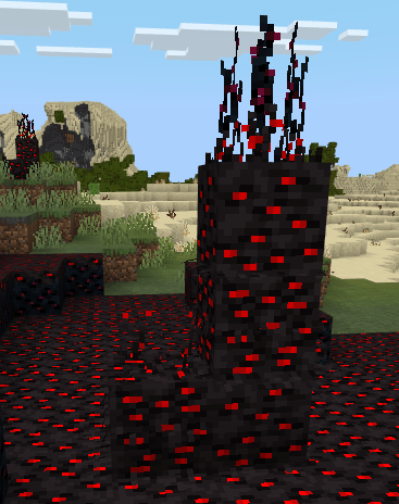Decorative structures in infection biome