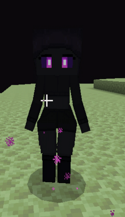 Enderman Waifu