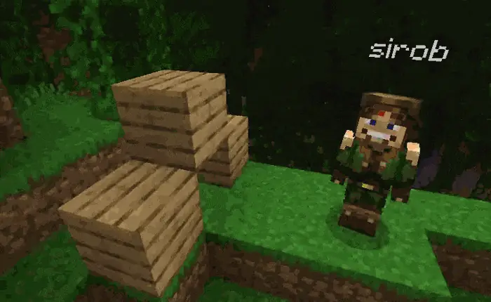 You can crawl through a 1 block hole