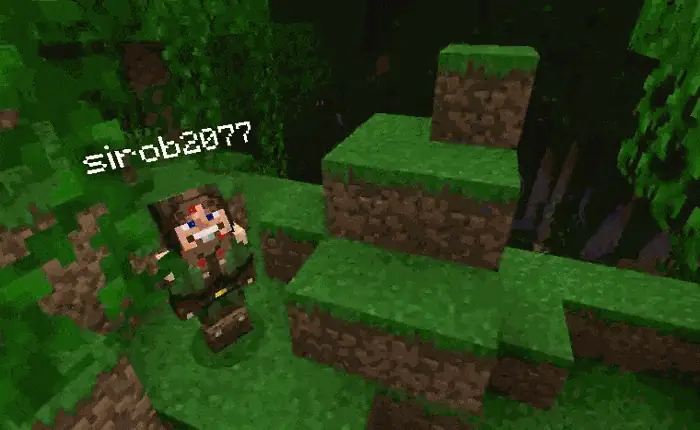 But during normal crawling, you cannot climb up the blocks