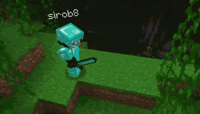 When you hold items or wear armor, it renders fine