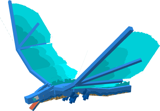 European Butterfly