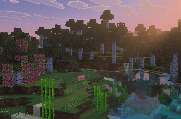 New Biomes overview