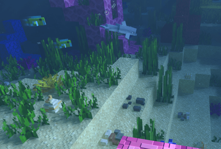 Ocean floor details