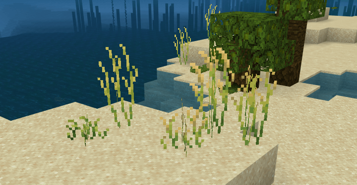 Beachside foliage
