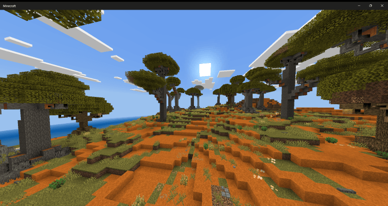 Sandy Savanna Biome
