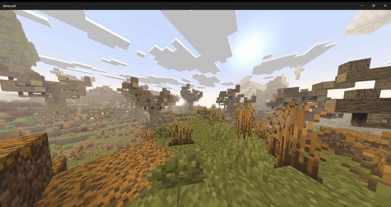 Wasteland Biome