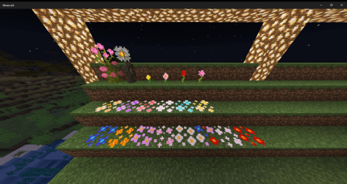 Nature's Touch Flowers