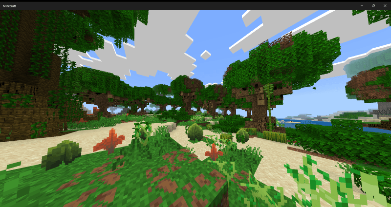 Sandy Jungle Biome