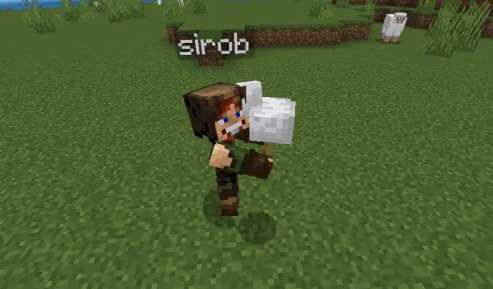 Stopping carrying by taking an item in mainhand