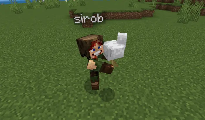 Stopping carrying by sneaking and jumping