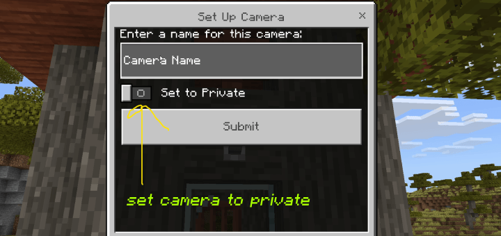 Camera naming and privacy menu