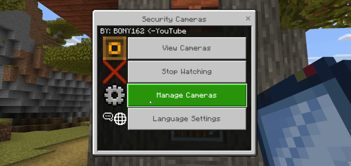 Camera management options