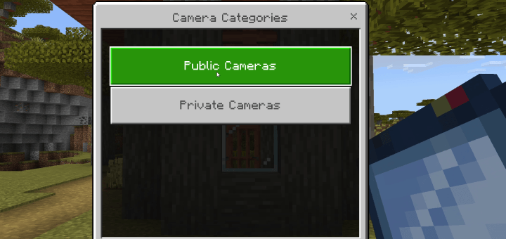 View Cameras menu