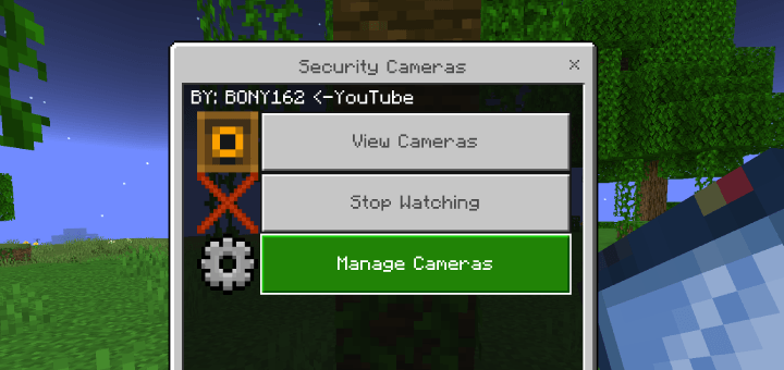 Add or remove player camera access