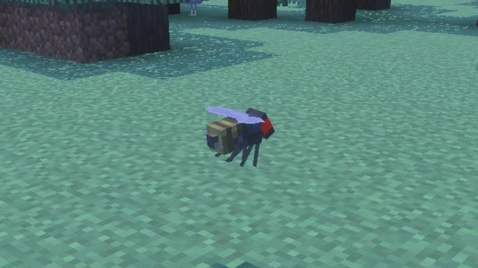 Fly creature